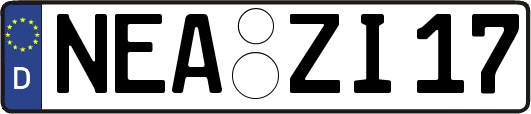 NEA-ZI17
