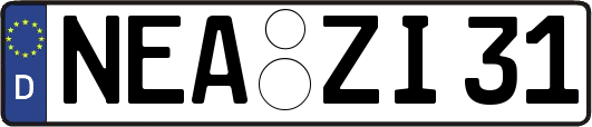 NEA-ZI31