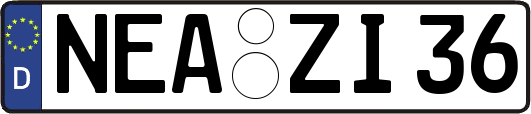 NEA-ZI36