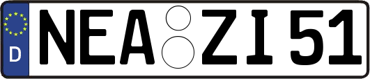 NEA-ZI51