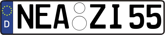 NEA-ZI55