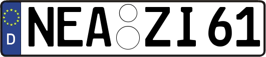 NEA-ZI61