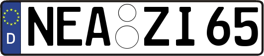 NEA-ZI65