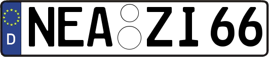 NEA-ZI66