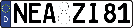 NEA-ZI81