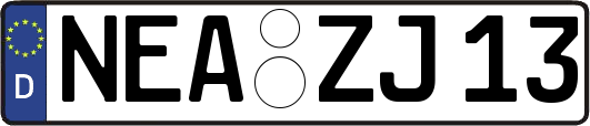 NEA-ZJ13