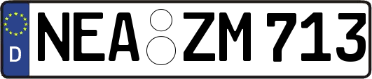 NEA-ZM713