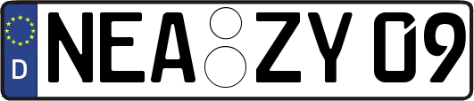 NEA-ZY09