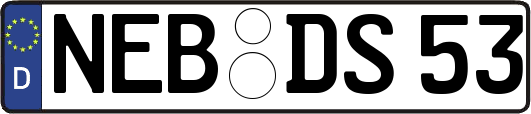 NEB-DS53