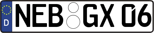 NEB-GX06