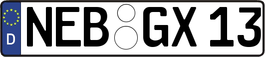 NEB-GX13