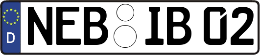 NEB-IB02