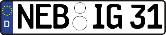NEB-IG31