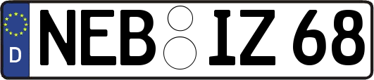 NEB-IZ68