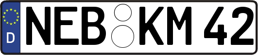 NEB-KM42