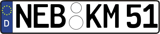 NEB-KM51