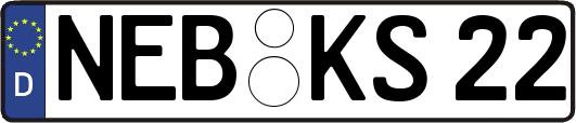 NEB-KS22