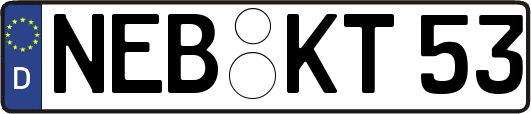 NEB-KT53