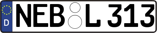 NEB-L313