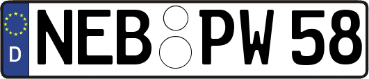NEB-PW58