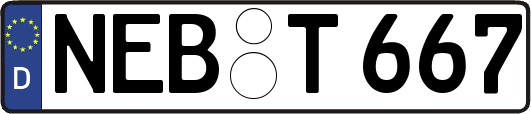 NEB-T667