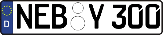 NEB-Y300