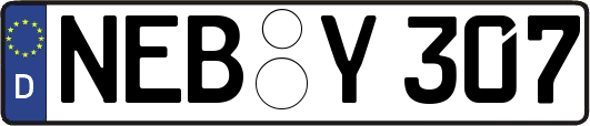 NEB-Y307