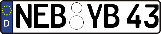NEB-YB43