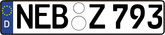 NEB-Z793
