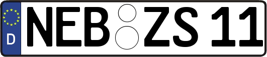 NEB-ZS11