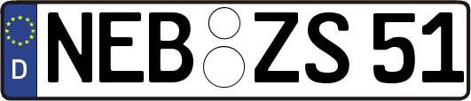 NEB-ZS51