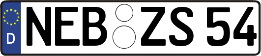 NEB-ZS54