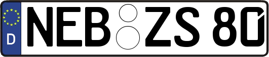 NEB-ZS80