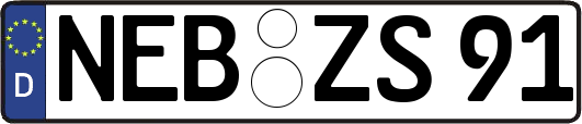 NEB-ZS91