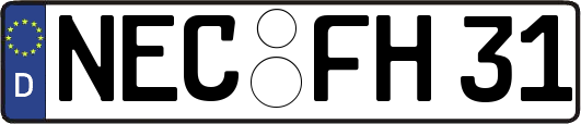 NEC-FH31