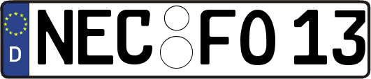 NEC-FO13