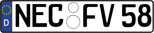 NEC-FV58