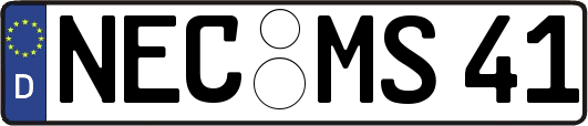 NEC-MS41