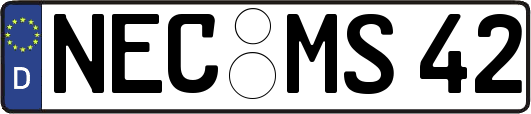 NEC-MS42