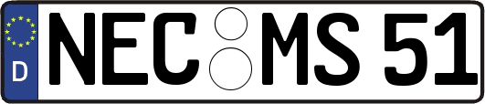 NEC-MS51