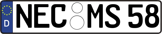 NEC-MS58