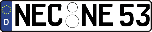 NEC-NE53