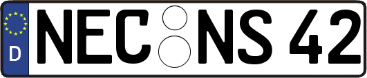 NEC-NS42