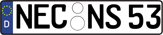 NEC-NS53