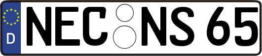 NEC-NS65