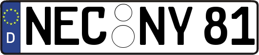 NEC-NY81