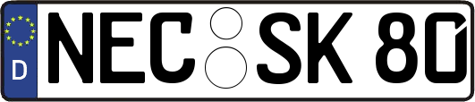 NEC-SK80