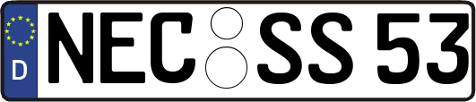 NEC-SS53