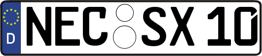 NEC-SX10