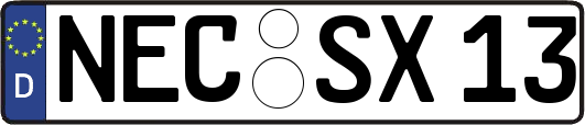 NEC-SX13